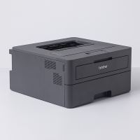 Monochromatická laserová tiskárna Brother, HL-L2402D (1)