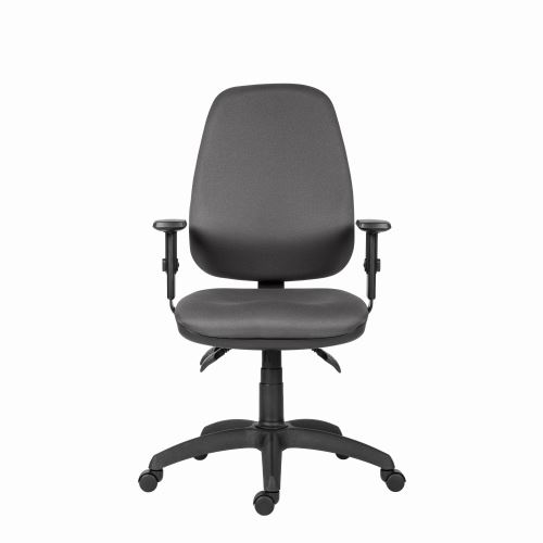 Powerton Kancelářské ergonomické křeslo Anna, Šedé